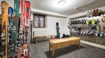 Ski storage