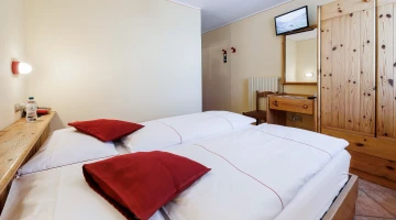 Double room with TV