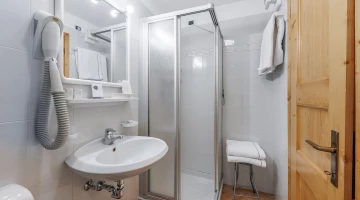 Private bathroom with wall-mounted hairdryer