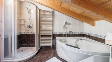 Bathroom with shower and bathtub in apartment
