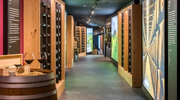 Museo del vino