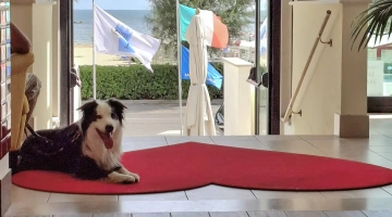 Haustierfreundliches Hotel