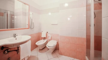 Bathroom with shower box