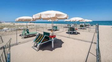 Area pet friendly in spiaggia