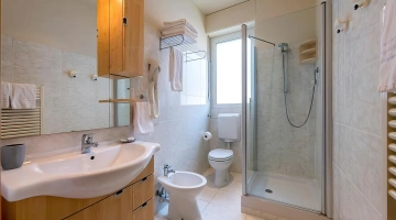 Bathroom with shower in the apartment