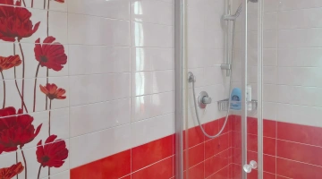 Bathroom with shower box