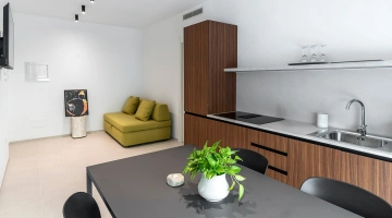 Wohnzimmer mit ausgestatteter Küche und Sofa