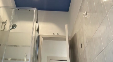 Bathroom with shower box
