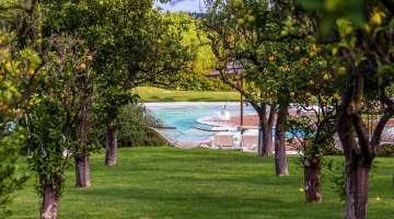 Amaca in giardino