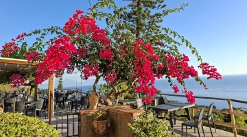 Dettaglio del giardino