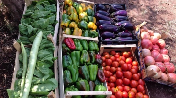 Agriturismo con orto