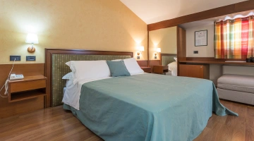 Camera con letto matrimoniale, TV e frigobar