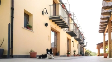 Struttura pet friendly