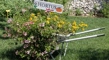 Giardino mediterraneo