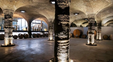 Cave à vin