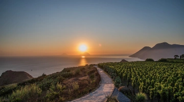 Structure en position panoramique