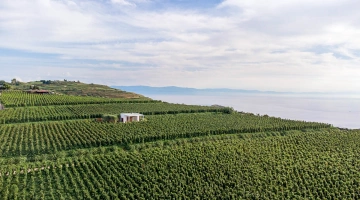 Extérieur de la maison Obsidian