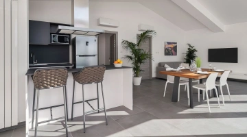 Détail du mobilier du salon avec cuisine