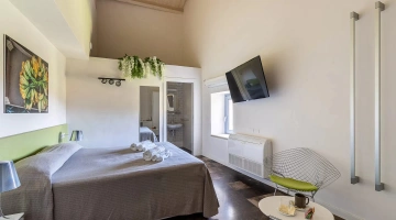 Chambre avec salle de bain et télévision