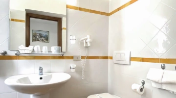 Salle de bain privée avec sèche-cheveux