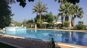 Area piscina circondata dal verde