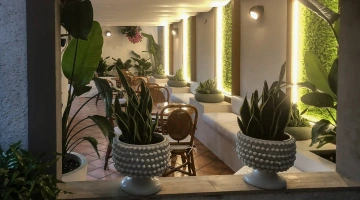 Espaces extérieurs aménagés