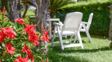 Dettaglio giardino