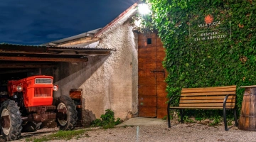 Dettaglio del giardino