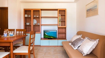 Wohnbereich mit Schlafsofa und Smart-TV
