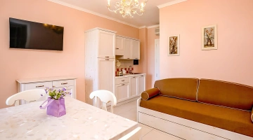 Wohnzimmer mit Sofa und Küchenzeile