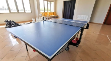 Tavolo da ping-pong