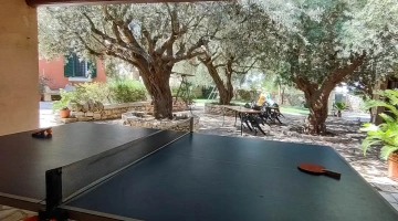 Tavolino da ping pong