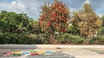 Area giochi esterna