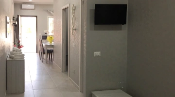 TV in camera
