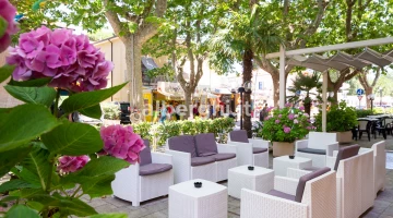Jardin