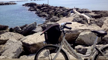 City bike