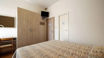 Double/twin room