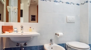 Superior room bathroom
