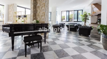 Our hall with grand piano