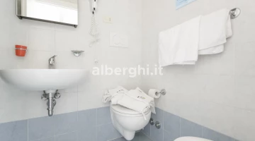 Bathroom in annex room
