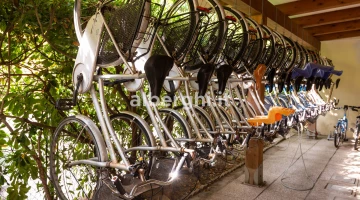 Vélos