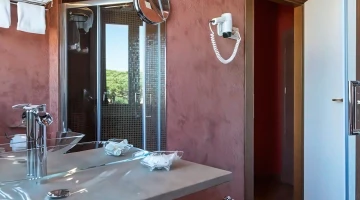 Bathroom detail